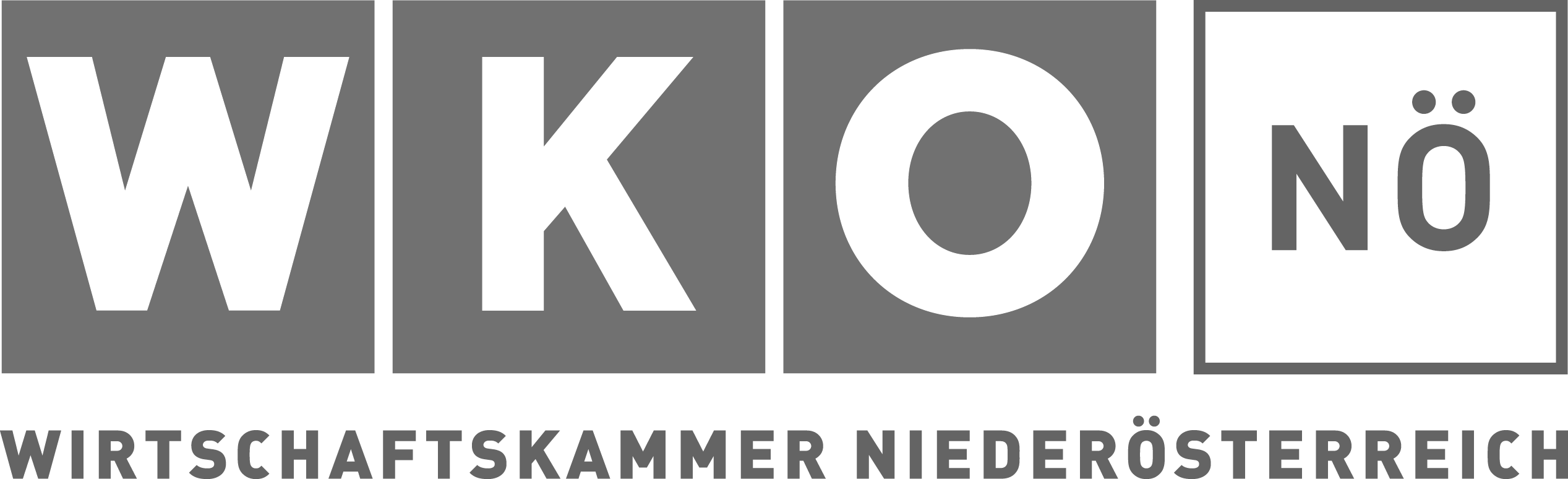 WKO NOE Logo
